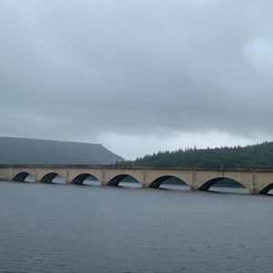 The Gentle Spirit Of The Displaced