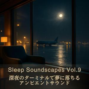 着陸しない飛行機