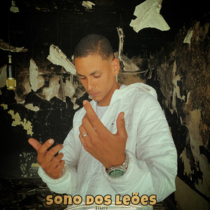 Sono dos leões