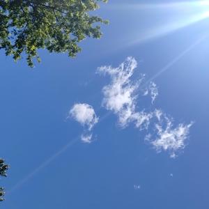 Where The Angels Are