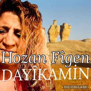 Dayikamin