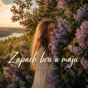 Zapach bzu w maju