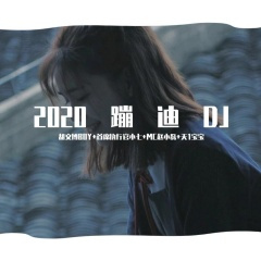 纯正电摇 (DJ版)