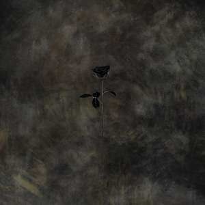 Felt the Fire (Erly Tepshi Remix)