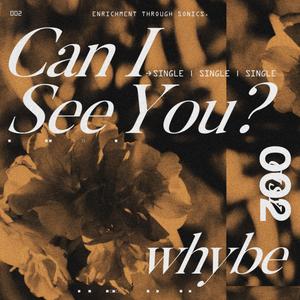 Can I See You ?