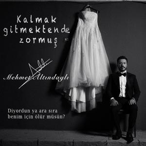 Kalmak Gitmekten de Zormuş