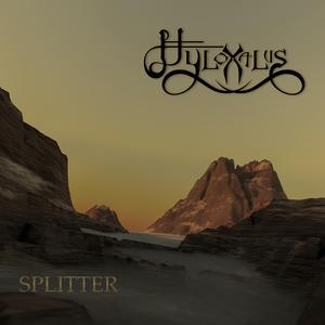 Splitter