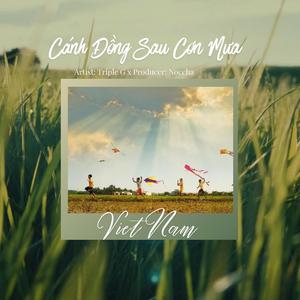 Cánh Đồng Sau Cơn Mưa