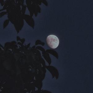 天空之城尤克里里翻