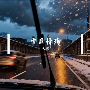 雪崩情殇