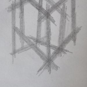 thorns, barriers