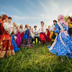 Ромашковое поле