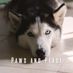 Serene Paw-sitivity