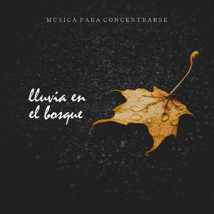 Música para Concentrarse: Lluvia en el Bosque, Pt. 01