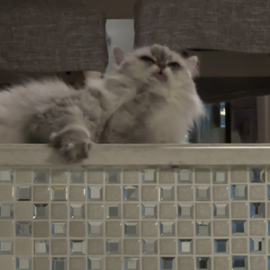 致五年后的你.wav