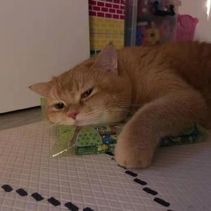 广西科目三（3D环绕立体声）