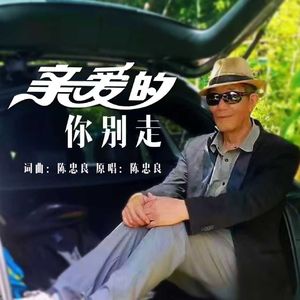 亲爱的你别走（伴奏）