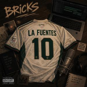 BRICKS