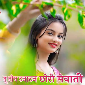 तू तोप टनाटन छोरी मेवाती