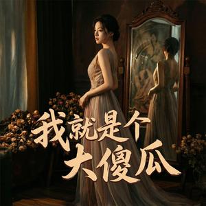 我就是个大傻瓜