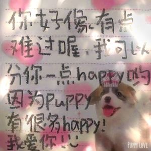 小狗の爱Puppy Love