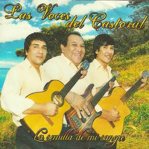 Enganchados de Chamamé Instrumentales