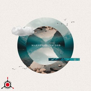Tardus