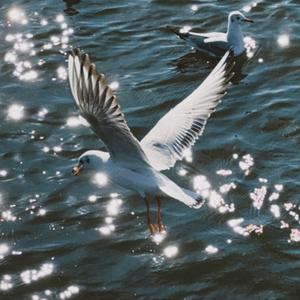 我们是最好的朋友 也是最坏的爱人