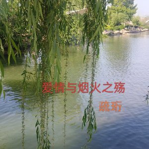 爱情与烟火之殇
