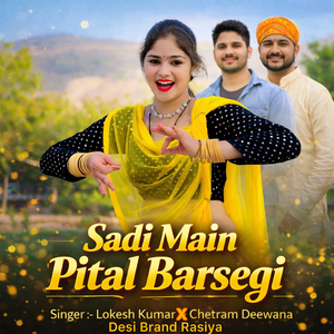 Sadi main pital barsegi