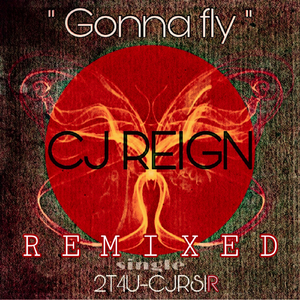 Gonna Fly (GG's Brown Stew Kickin Dub)