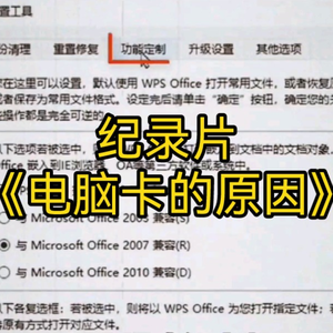 大型纪录片《电脑卡的原因》
