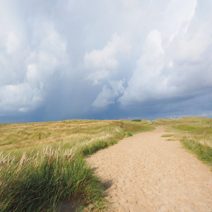 Being Happy Inside (산책)