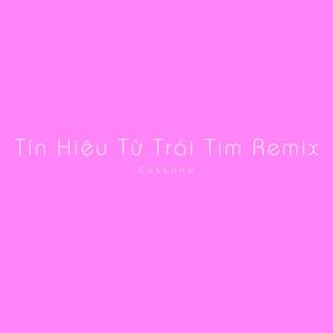 Tín Hiệu Từ Trái Tim Remix (Remix)