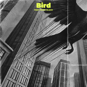 Bird (feat. Yongi Black)