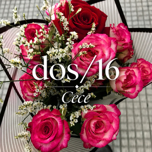 Dos/16