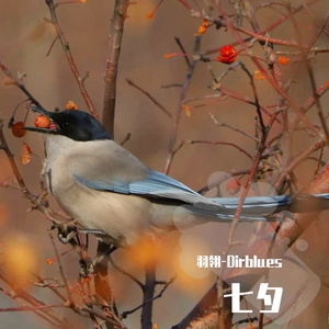 七夕 （cover 打ち上げ花火）