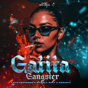 Gatita Gangter