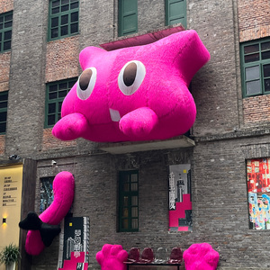 我从未如此相信