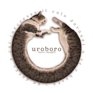 Uroboro (un gatto a cui interessa il culo davanti a sé e basta)