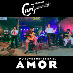 No Tuve Suerte en el Amor