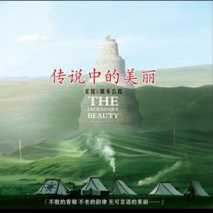 陪你一起看草原