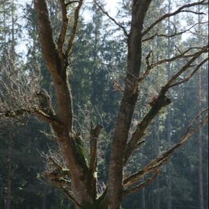 你好 你好 你好