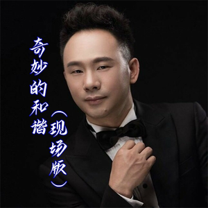 奇妙的和谐(Live)