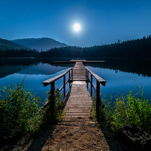 Dawn of a New Day