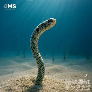 揺れて揺れて、チンアナゴ