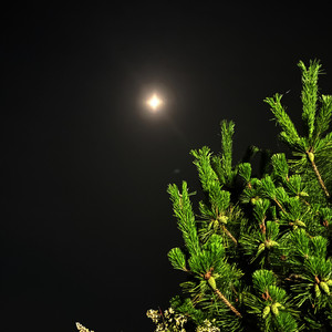 Moonlight in Maizuru (feat. Kazuhiro Katai)