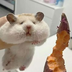 i'm yours (sped up + reverb)