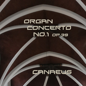 Organ Concerto No.1 op.39 - I. Andante