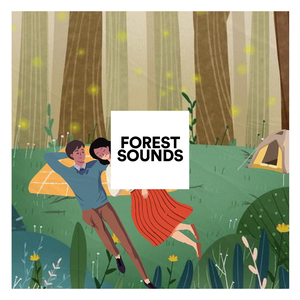 Waldgeraeusche für Kinder zum Entspannen